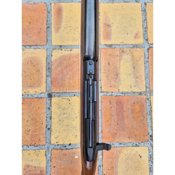 Carabine de jardin Bretton Gaucher G12 Phantom en calibre 410 silencé Cat C