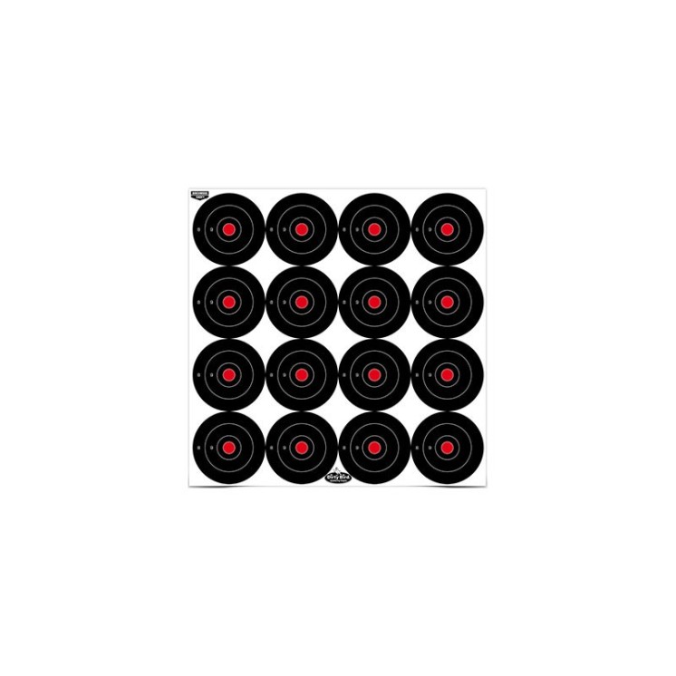 Lot de 12 cibles Dirty Bird - Birchwood Casey